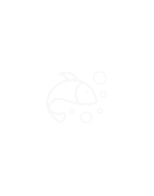 Świeże